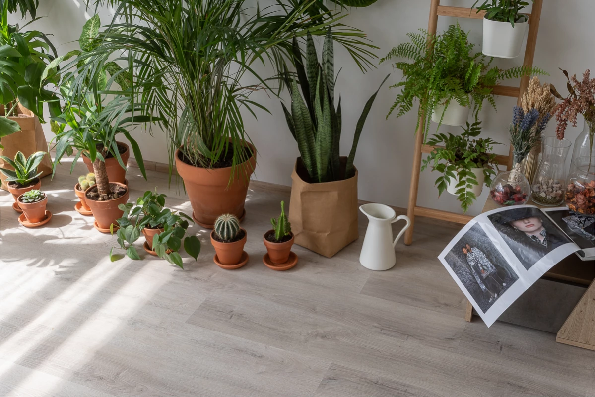 Виниловые полы Виниловый ламинат Vinilam Дуб Ален (Rich) 20468 Glue