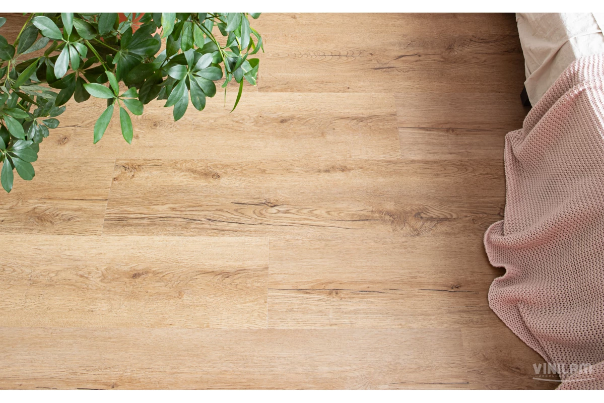 Виниловые полы Виниловый ламинат 33808 Дуб Витория Glue