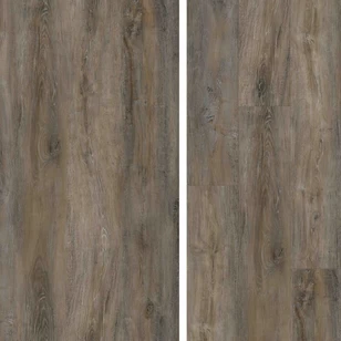 SPC ламинат Evofloor Home - Oak Ashen (Дуб Пепельный)