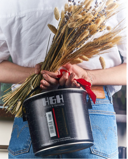 Отделка стен и потолка Краска H&H Satin SG 4,5 л