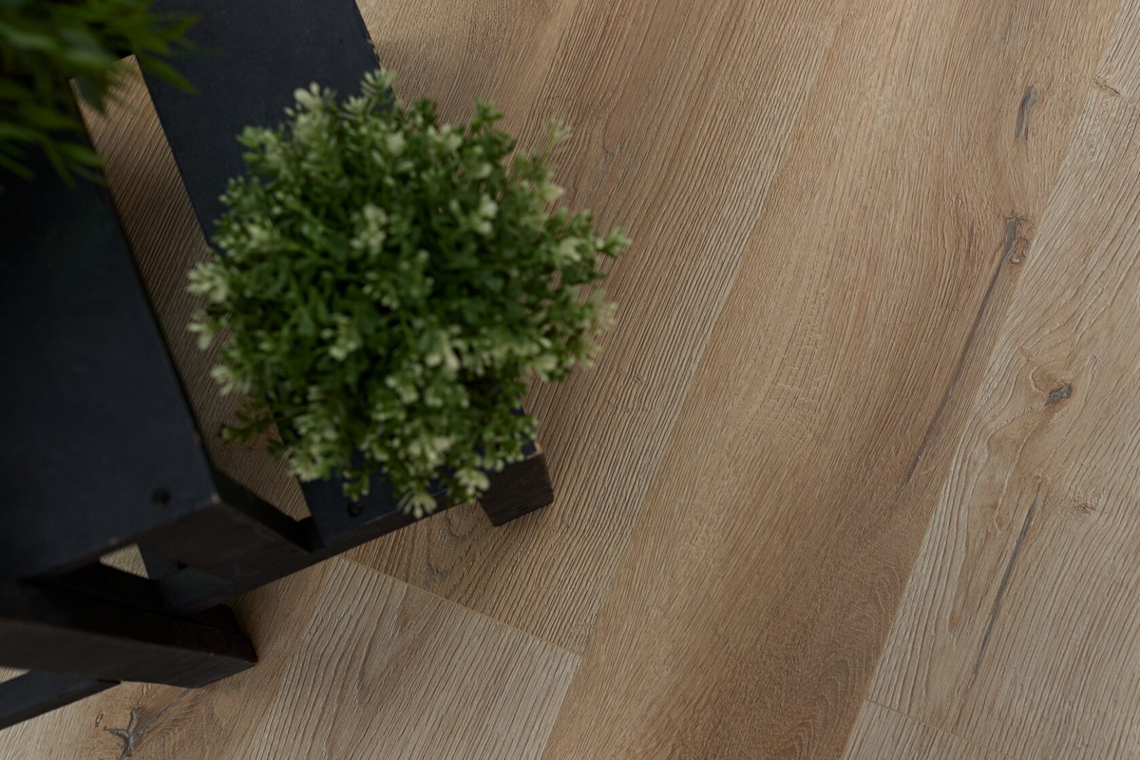 SPC Ламинат SPC ламинат Steinholz Prime Хофбург STH028