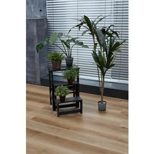 SPC ламинат Steinholz Prime Хофбург STH028