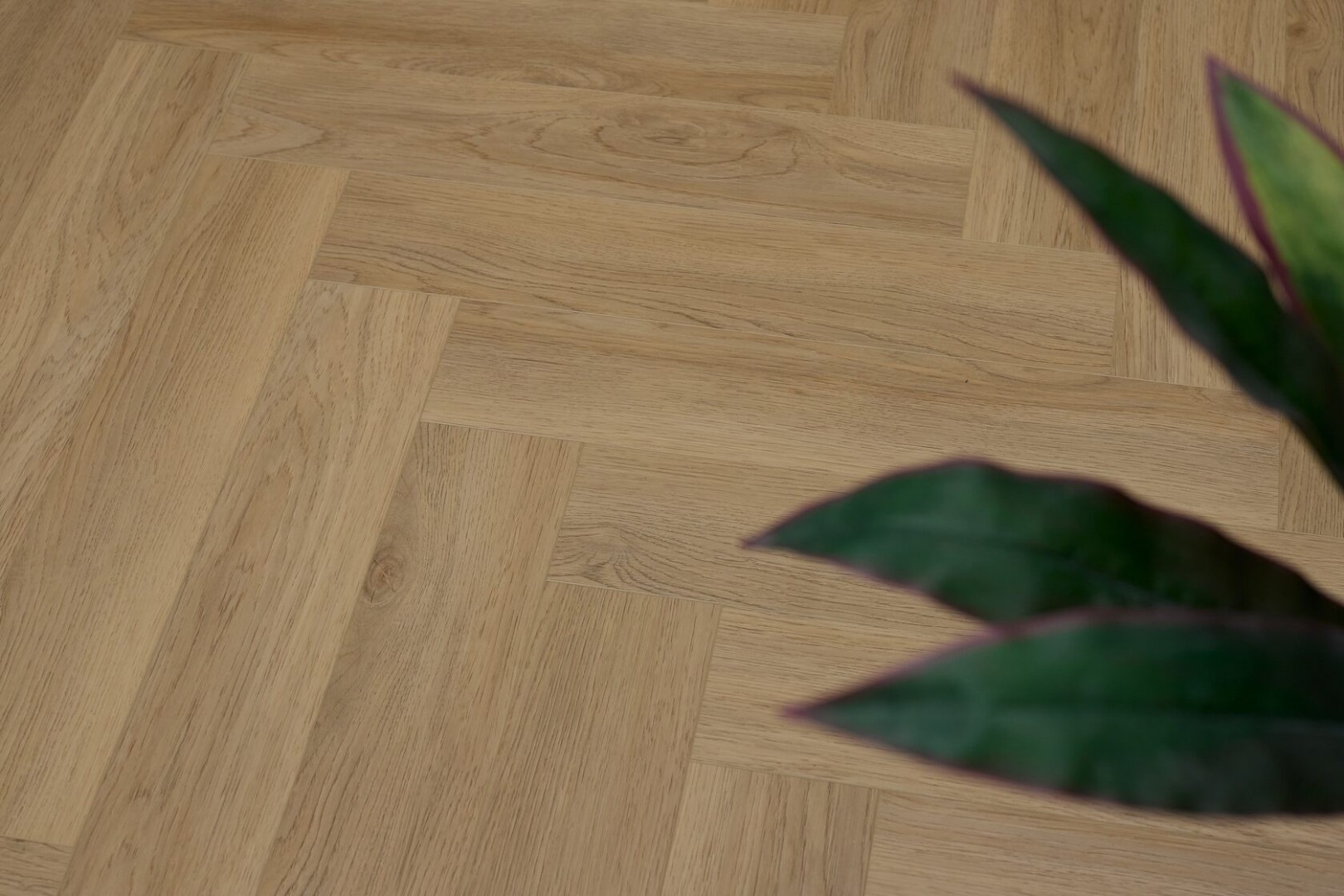 SPC-ламинат SPC ламинат Steinholz Herringbone Лайбниц STH059H