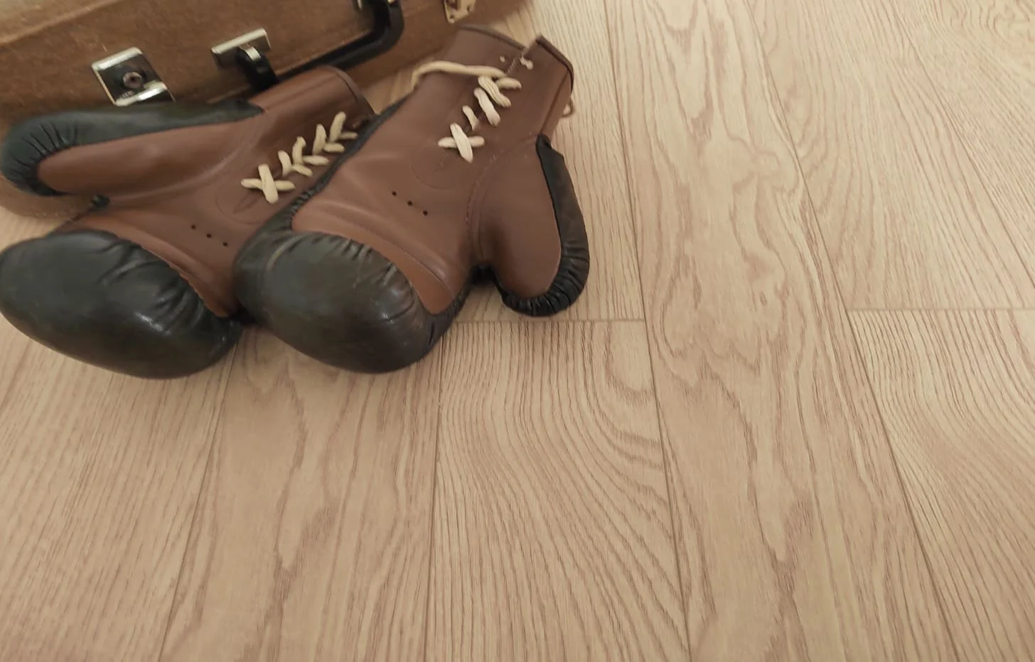 Ламинат Ламинат Floor Fort Дуб Шербрук 19031-6 MP