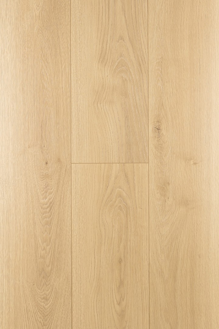 Ламинат Ламинат FirstFloor Дуб Валентия  (Valentia oak) 1F301