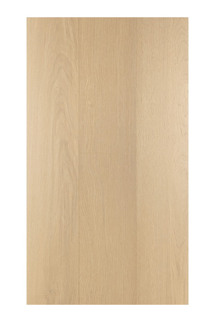 Ламинат Ламинат FirstFloor Дуб Пургрейн (Puregrain oak) 1F313