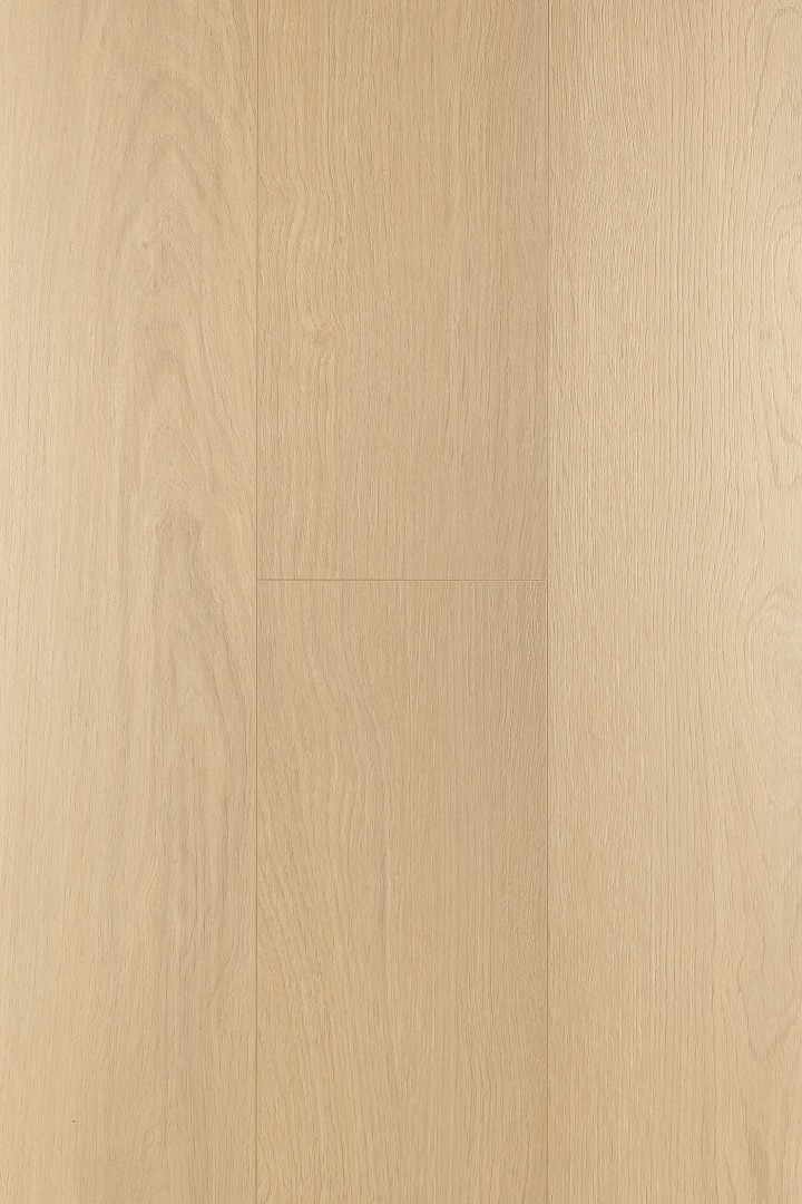Ламинат Ламинат FirstFloor Дуб Пургрейн (Puregrain oak) 1F313