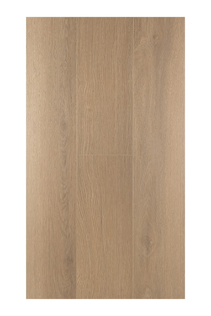 Ламинат Ламинат FirstFloor Дуб Констанция (Constanzo oak) 1F319