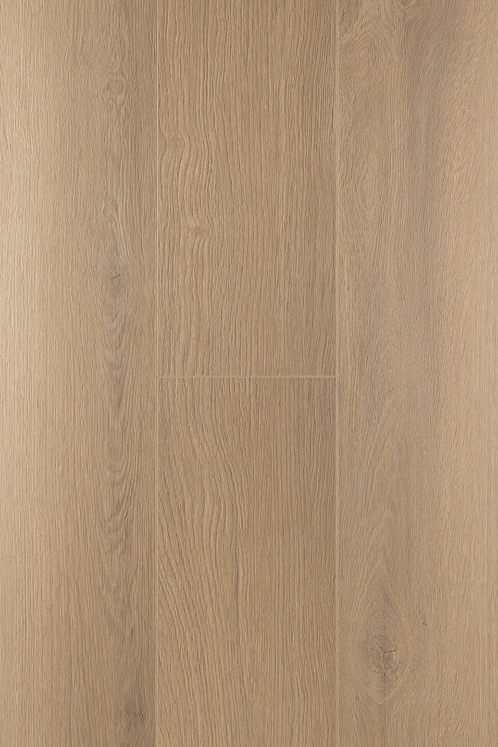 Ламинат Ламинат FirstFloor Дуб Констанция (Constanzo oak) 1F319