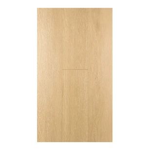 Ламинат FirstFloor Дуб Пактум (Pactum oak) 1F320