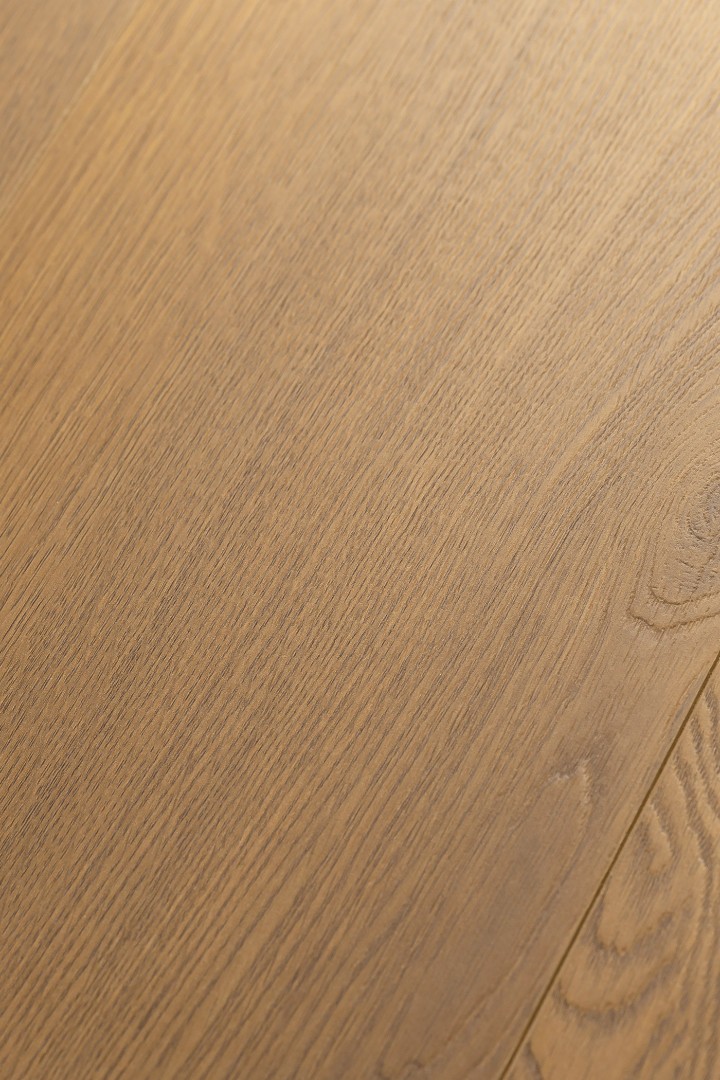 Ламинат Ламинат FirstFloor Дуб Солидис (Solidis oak) 1F323