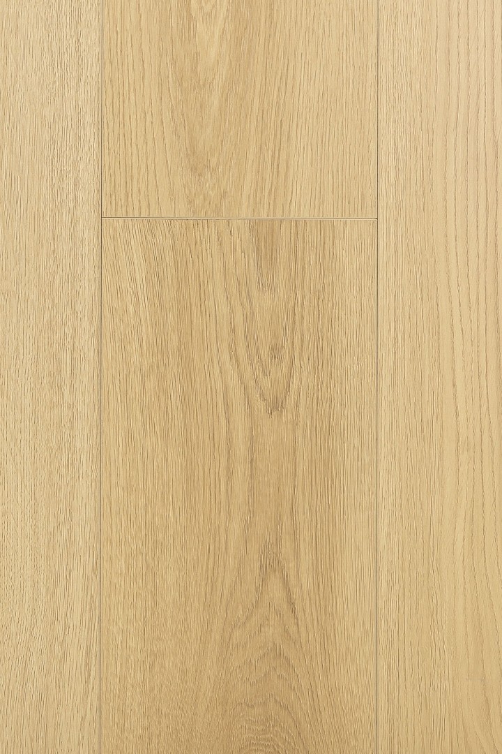 Ламинат Ламинат FirstFloor Дуб Калибра (Calibra oak) 1F401