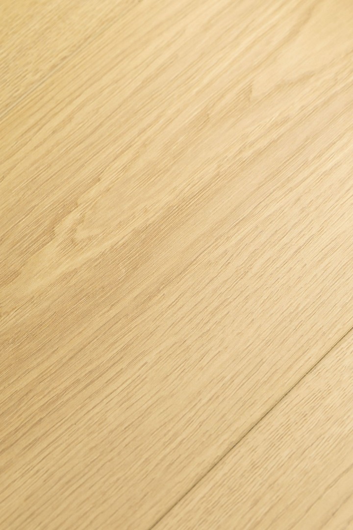 Ламинат Ламинат FirstFloor Дуб Калибра (Calibra oak) 1F401