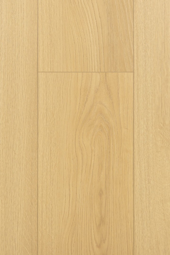 Ламинат Ламинат FirstFloor Дуб Лояль (Loyal oak) 1F403