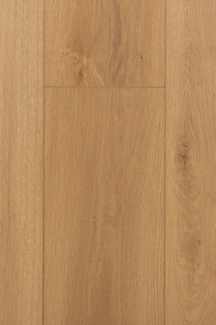 Ламинат Ламинат FirstFloor Дуб Витра |(Vitra oak) 1F405