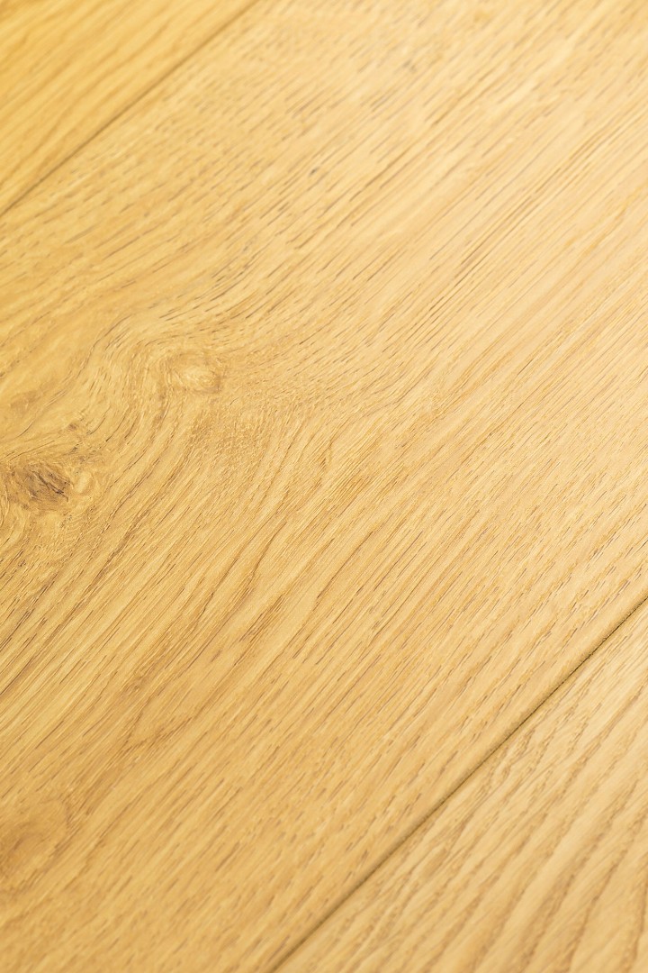 Ламинат Ламинат FirstFloor Дуб Твилль (Tvill oak) 1F419