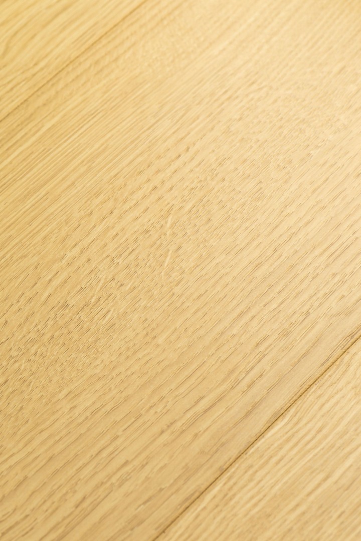 Ламинат Ламинат FirstFloor Дуб Юникум (Unicom oak) 1F420