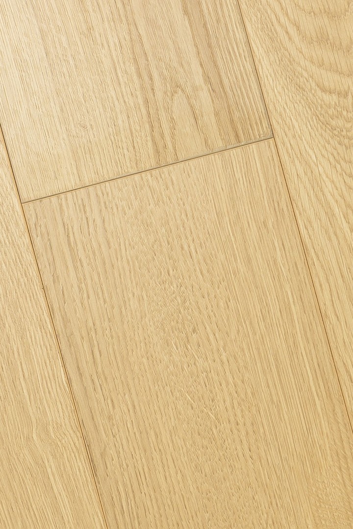 Ламинат Ламинат FirstFloor Дуб Юникум (Unicom oak) 1F420