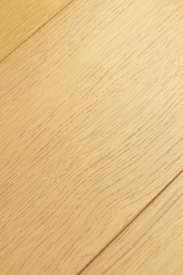 Ламинат Ламинат FirstFloor Дуб Терра (Terra oak) 1F422