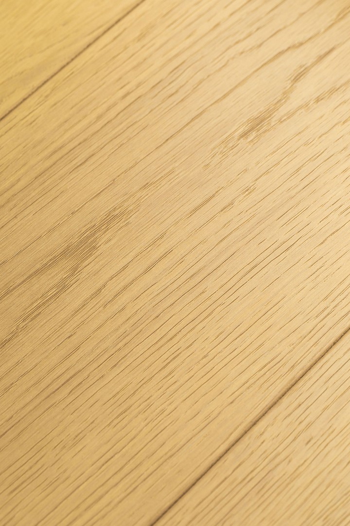 Ламинат Ламинат FirstFloor Дуб Терра (Terra oak) 1F422