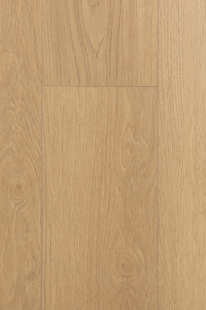 Ламинат Ламинат FirstFloor Дуб Умбра (Umbra oak) 1F423