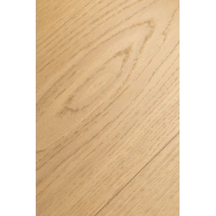 Ламинат FirstFloor Дуб Умбра (Umbra oak) 1F423