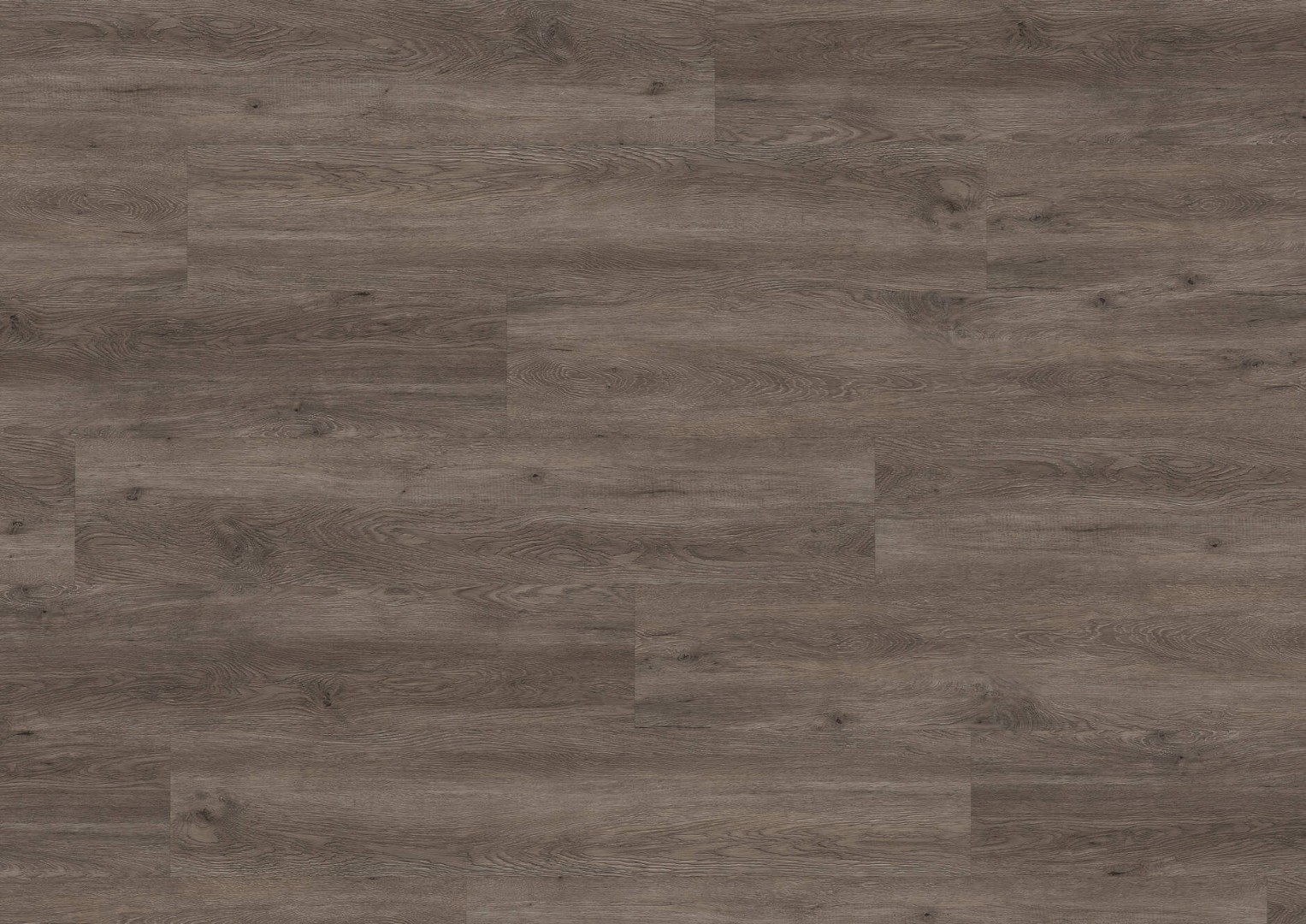 Виниловые полы Виниловый пол Ter Hurne Classic Choice PRO C08 Oak Canberra